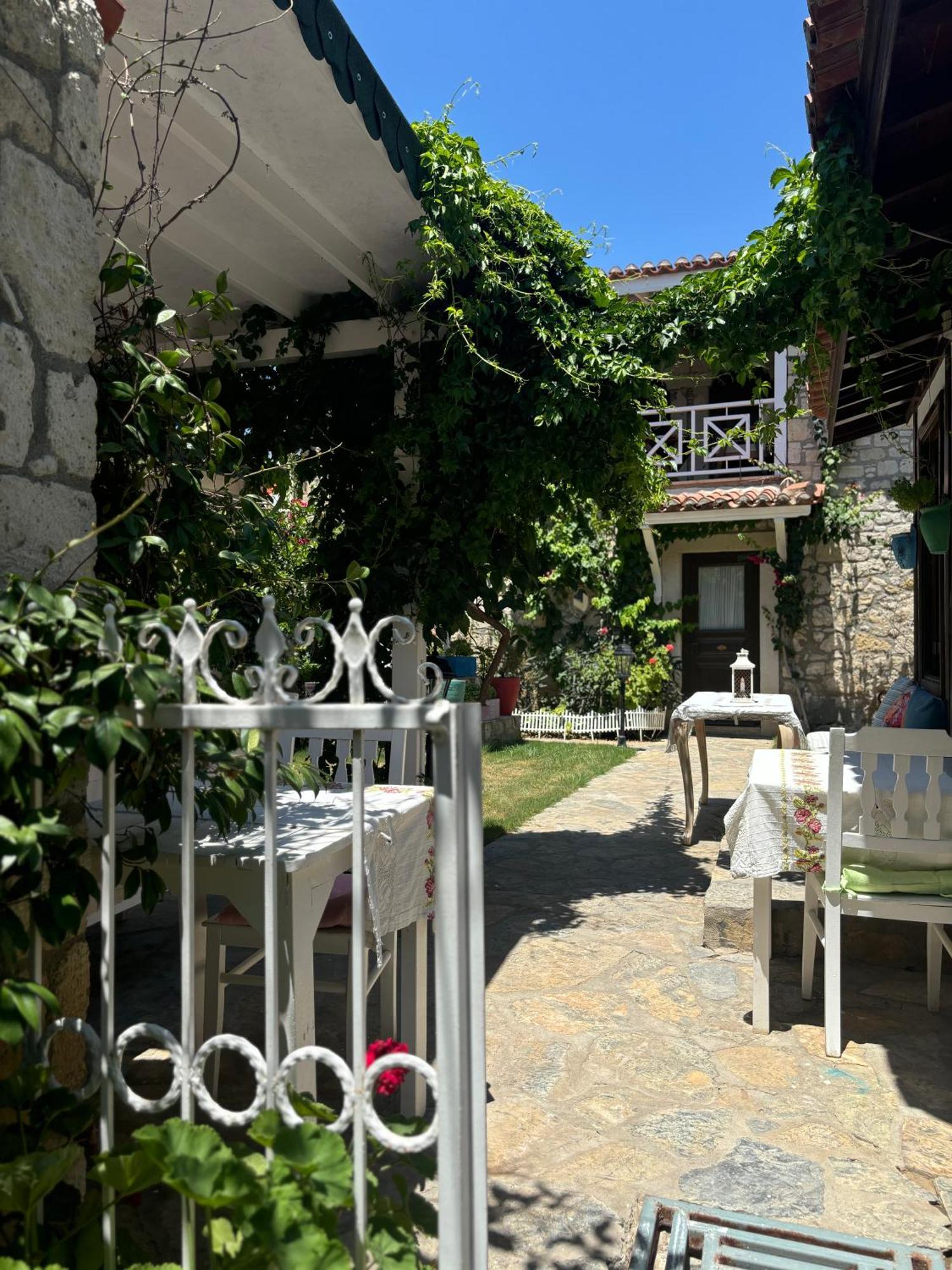 塔实德兰酒店 阿拉恰特 外观 照片